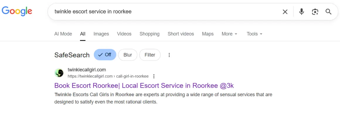 screenshot result keyword type on google 'twinkle escort service in Roorkee'